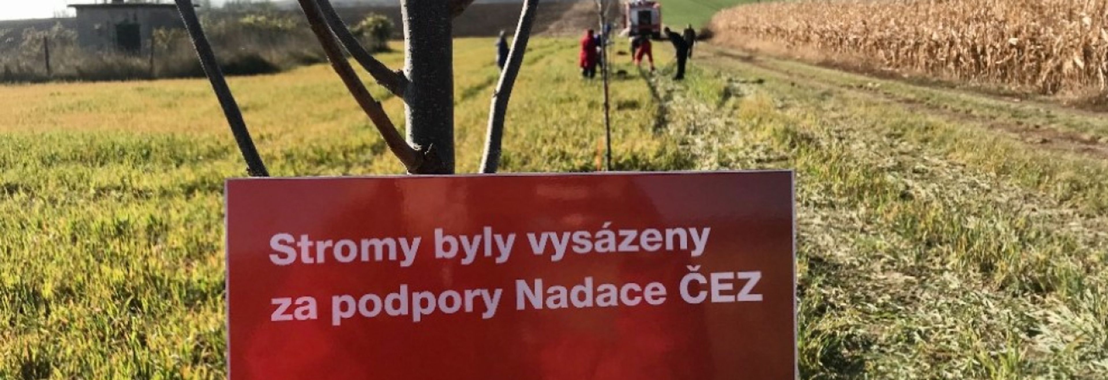 edu-stromy-vedrovice-1.jpg